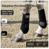 Protector Eskadron Dressage mano