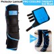 Protector Eskadron procool set